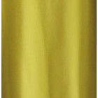 Female leggings Spicy Mustard (thicker) (A_SUAUG_RUBAI)